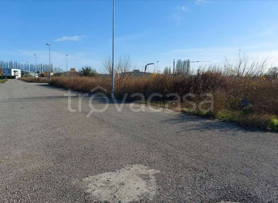 terreno agricolo in vendita a Fratta Polesine