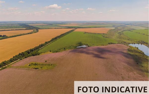 terreno edificabile in vendita a Fratta Polesine