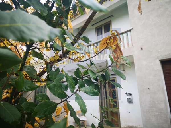 casa semindipendente in vendita a Fratta Polesine in zona Paolino