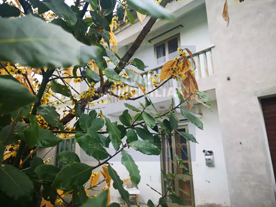 casa semindipendente in vendita a Fratta Polesine in zona Paolino