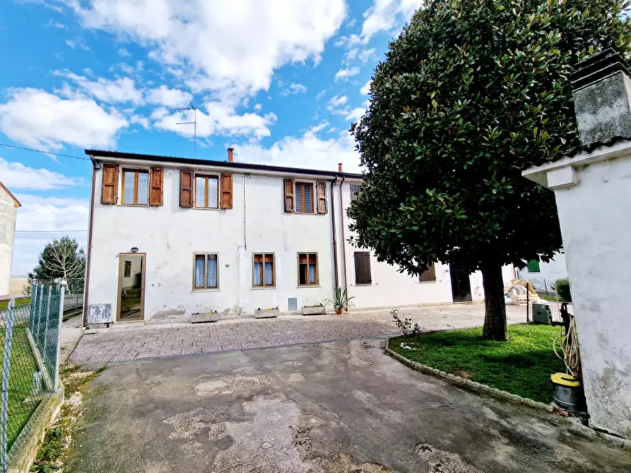 casa indipendente in vendita a Fratta Polesine in zona Paolino