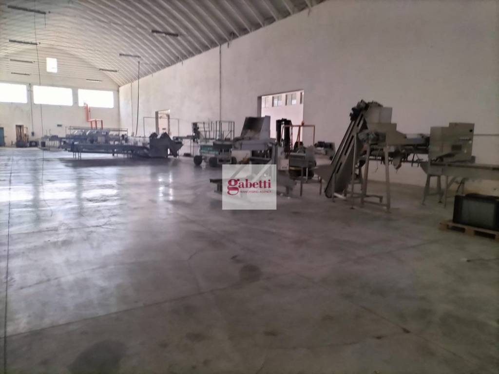 appartamento in vendita a Gaiba
