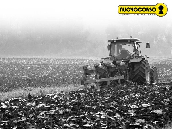 terreno agricolo in vendita a Guarda Veneta