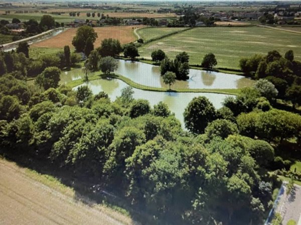negozio in vendita a Lendinara