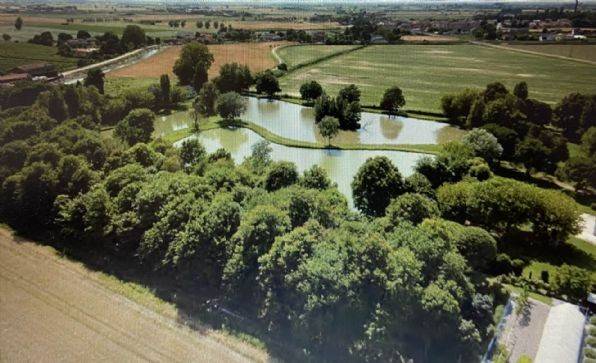 negozio in vendita a Lendinara