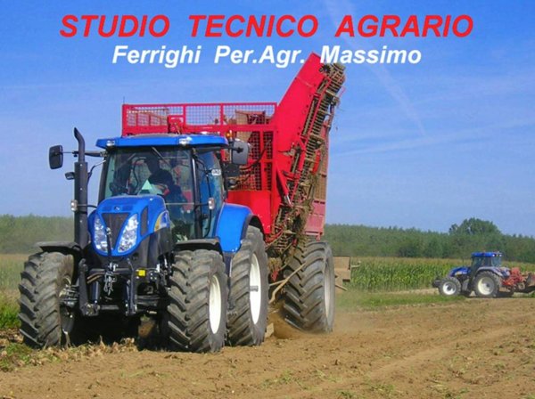 terreno agricolo in vendita a Lendinara