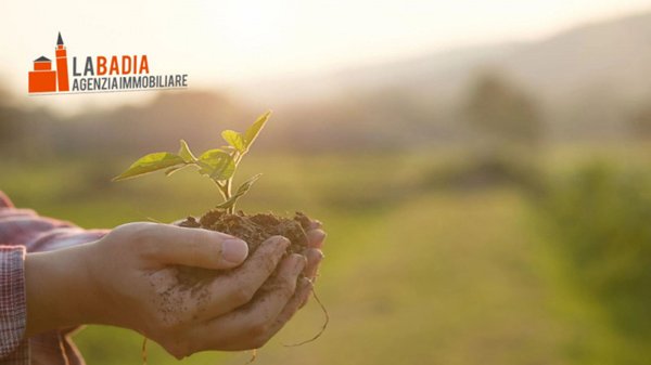 terreno agricolo in vendita a Lendinara in zona Saguedo