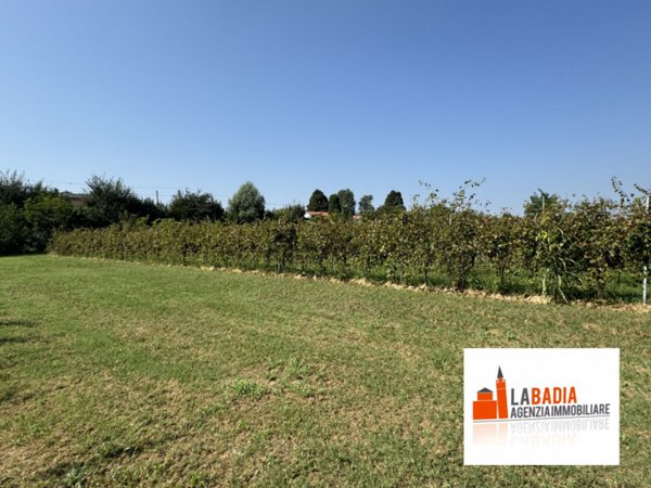 terreno agricolo in vendita a Lendinara in zona Rasa