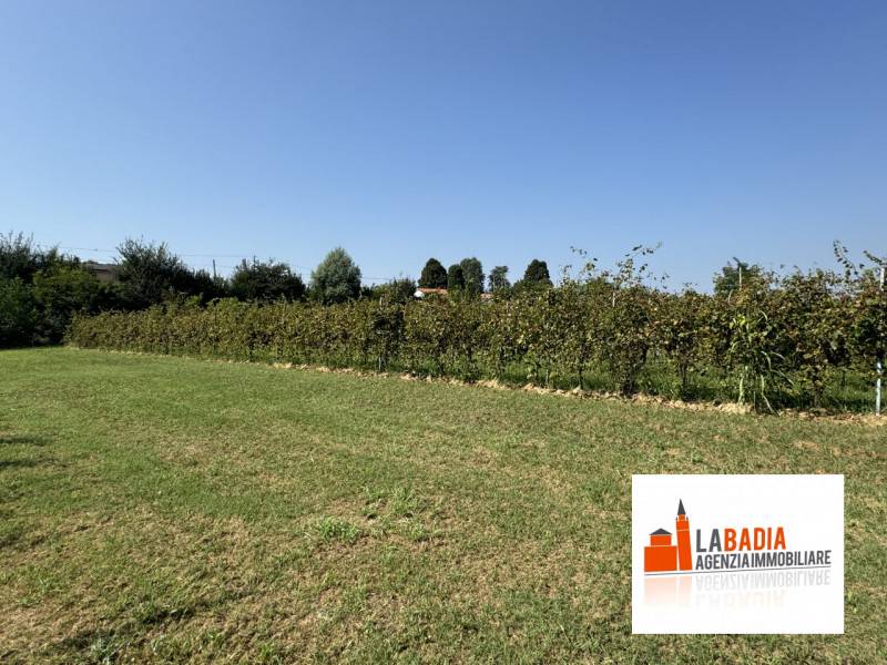 terreno agricolo in vendita a Lendinara in zona Rasa