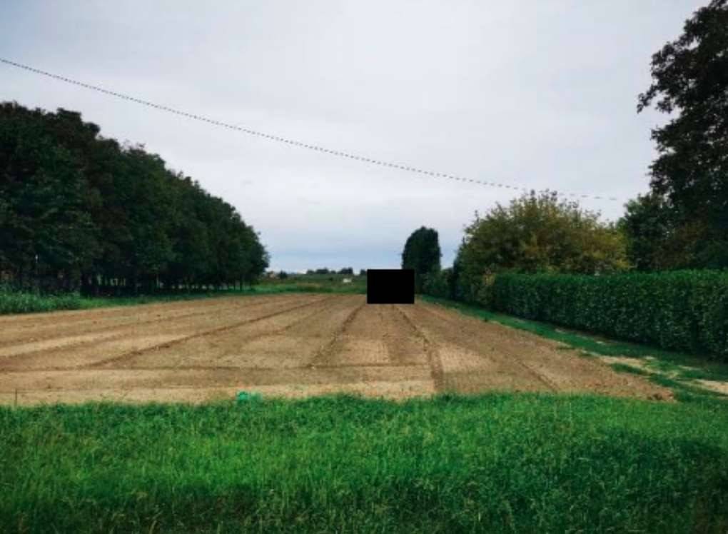 terreno agricolo in vendita a Lendinara in zona Saguedo