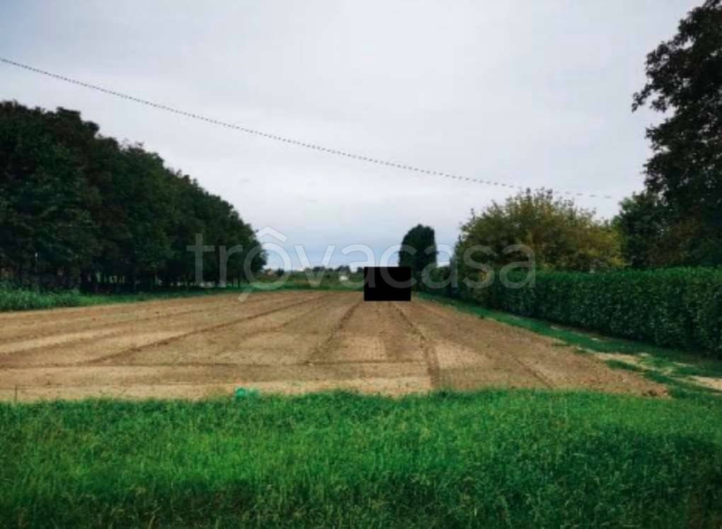 terreno agricolo in vendita a Lendinara in zona Saguedo