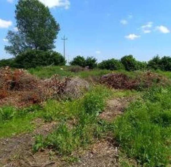 terreno agricolo in vendita a Lendinara