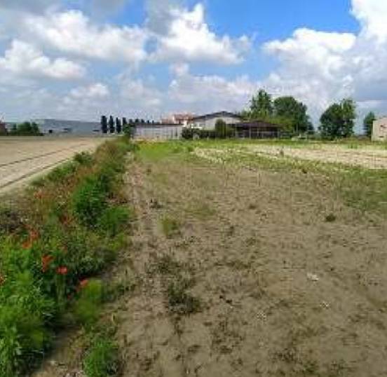 terreno agricolo in vendita a Lendinara