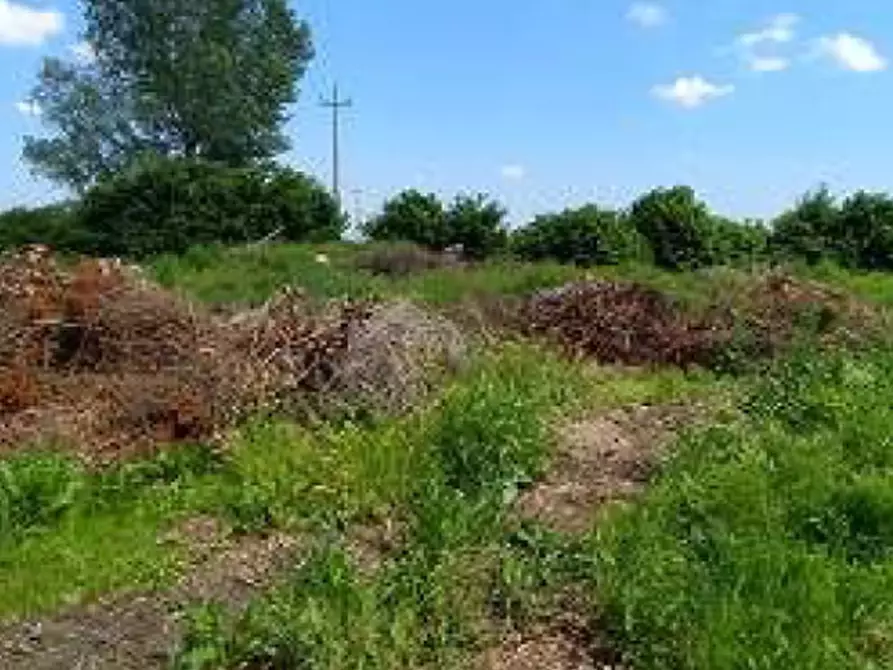 terreno agricolo in vendita a Lendinara