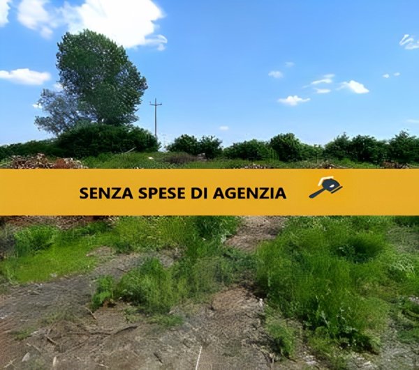 casa indipendente in vendita a Lendinara