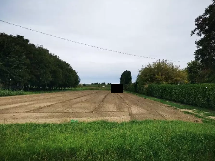 terreno agricolo in vendita a Lendinara in zona Saguedo