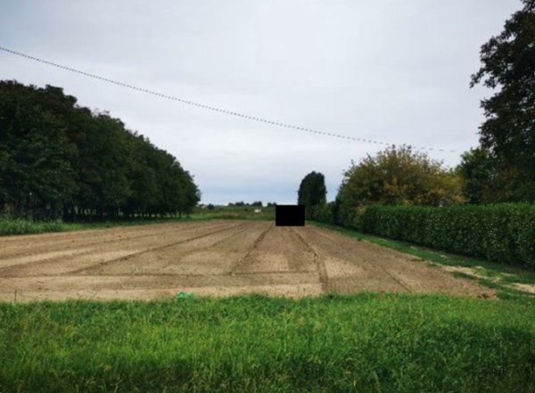 terreno agricolo in vendita a Lendinara in zona Saguedo