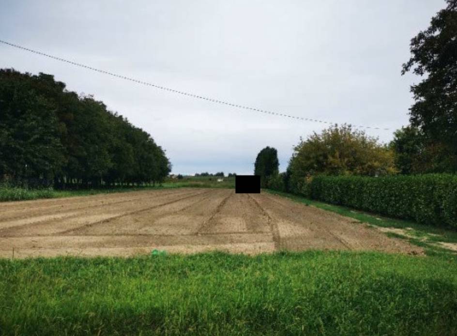 terreno agricolo in vendita a Lendinara in zona Saguedo