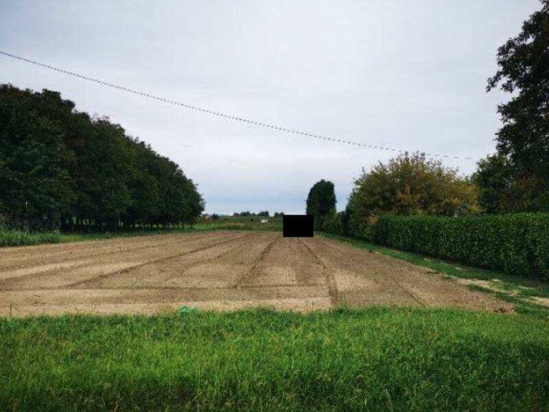 terreno agricolo in vendita a Lendinara in zona Saguedo