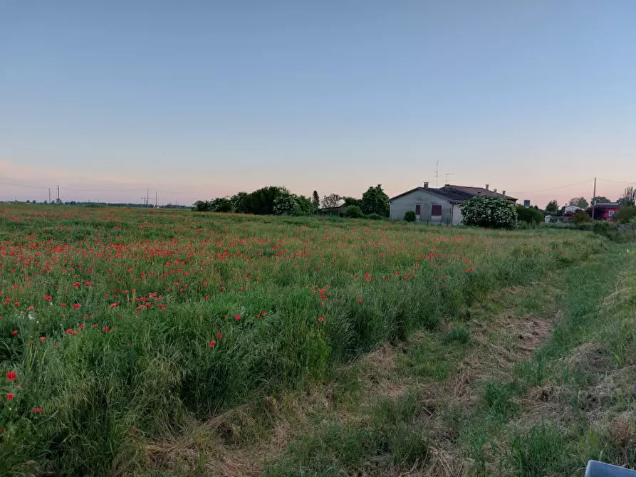 mansarda in vendita a Lendinara