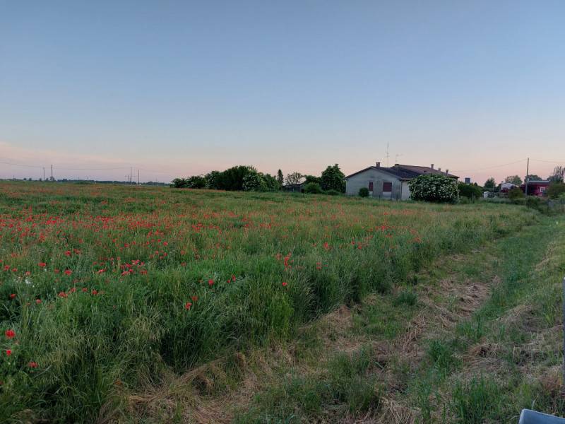casa indipendente in vendita a Lendinara in zona Rasa