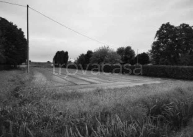 monolocale in vendita a Lendinara in zona Saguedo