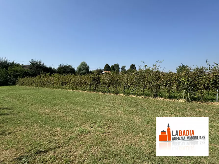 terreno agricolo in vendita a Lendinara in zona Rasa
