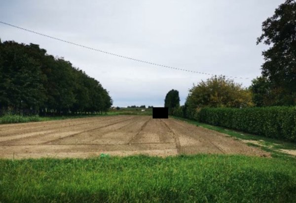 terreno agricolo in vendita a Lendinara in zona Saguedo