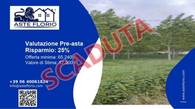 terreno agricolo in vendita a Lendinara in zona Rasa