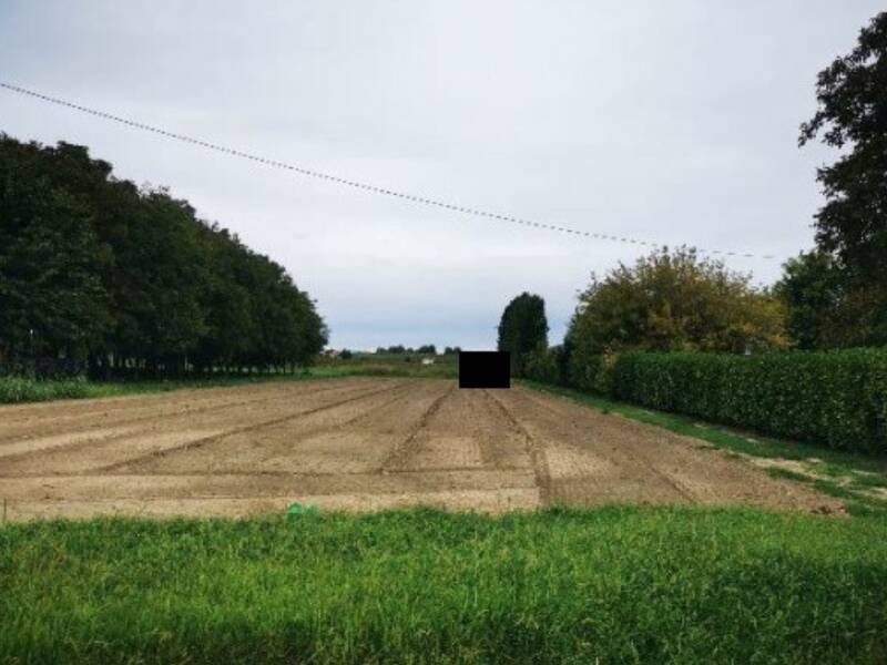terreno agricolo in vendita a Lendinara in zona Saguedo