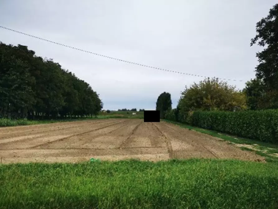 terreno agricolo in vendita a Lendinara in zona Saguedo