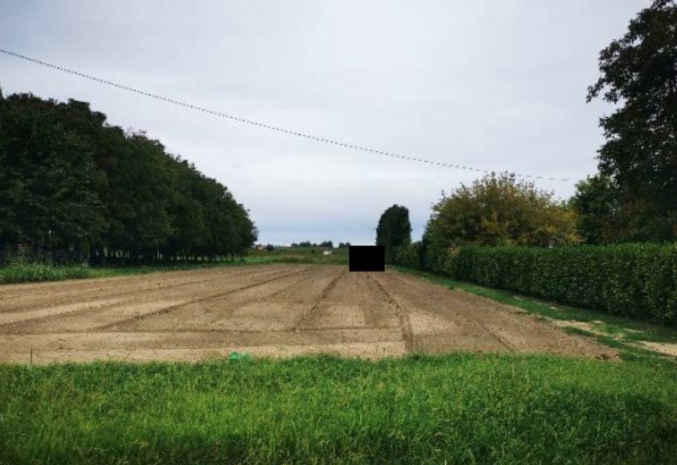 terreno agricolo in vendita a Lendinara in zona Saguedo