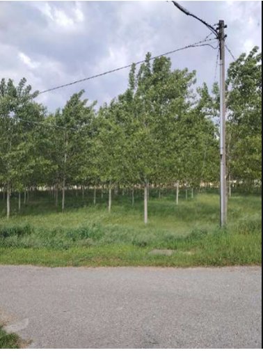 terreno agricolo in vendita a Lendinara in zona Rasa