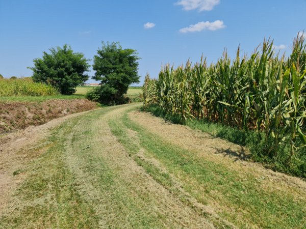 terreno agricolo in vendita a Lendinara