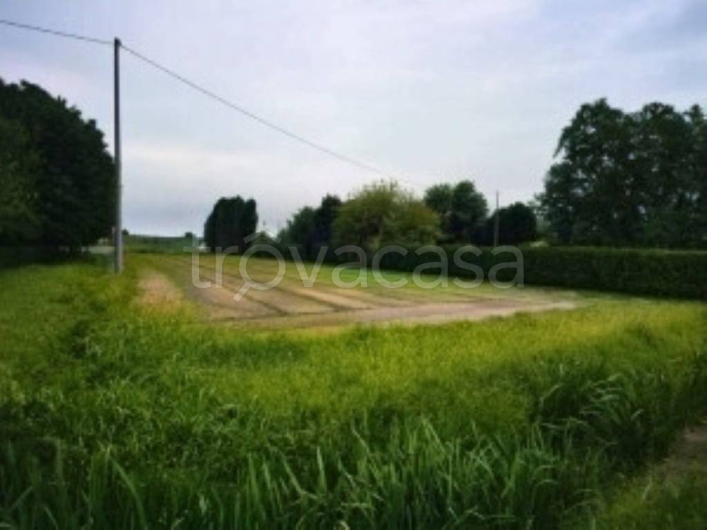 terreno agricolo in vendita a Lendinara in zona Saguedo