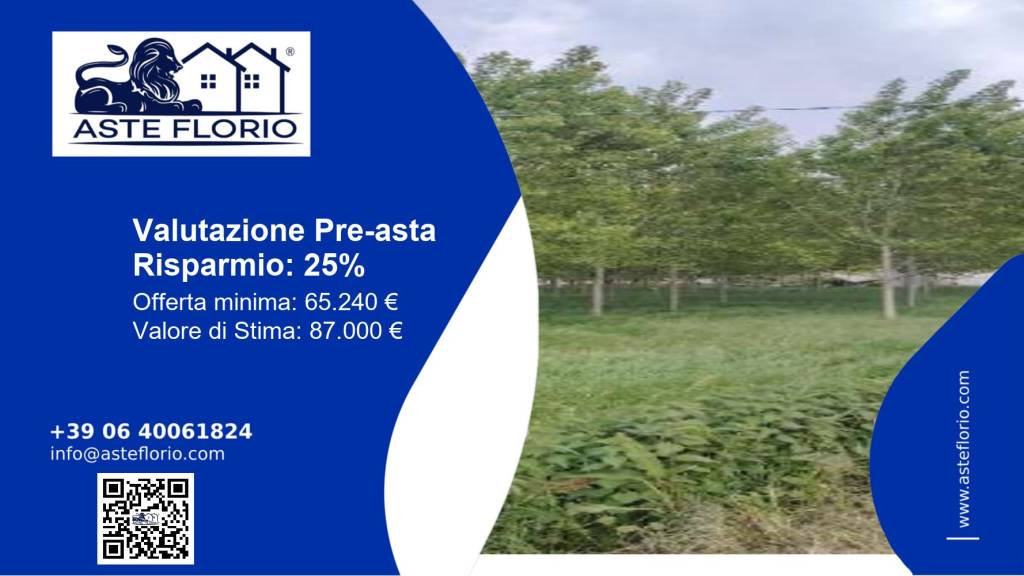 terreno agricolo in vendita a Lendinara in zona Rasa