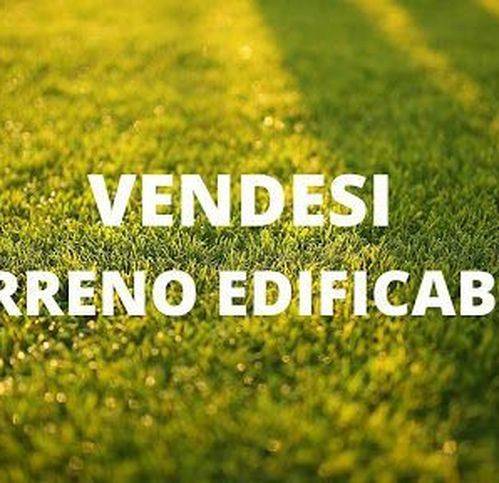 casa indipendente in vendita a Lendinara