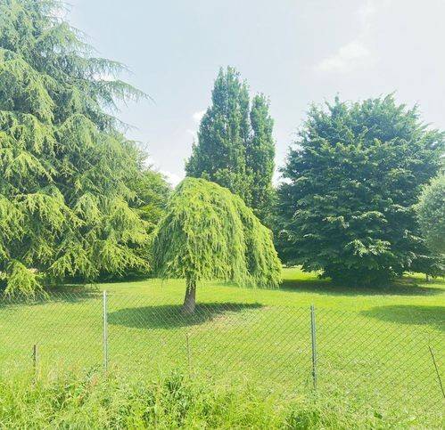 casa indipendente in vendita a Lendinara