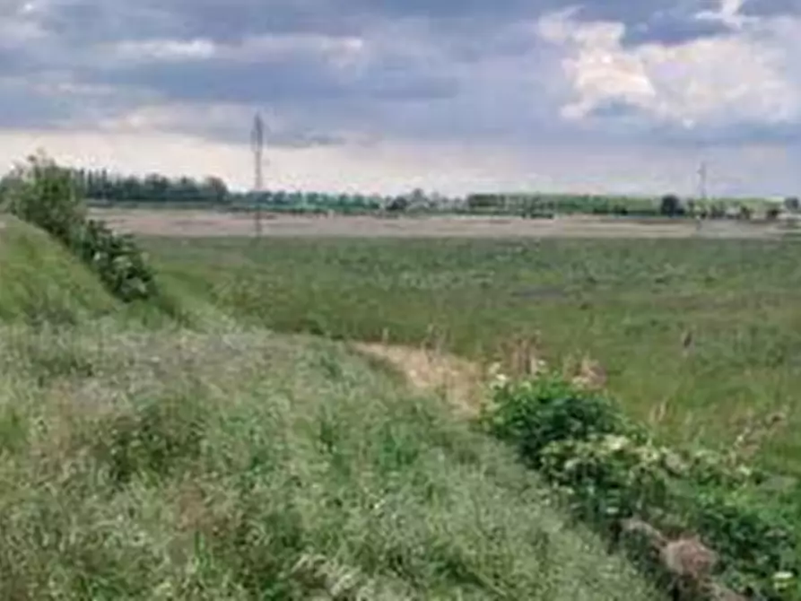 terreno agricolo in vendita a Lendinara