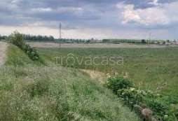 bivano in vendita a Lendinara