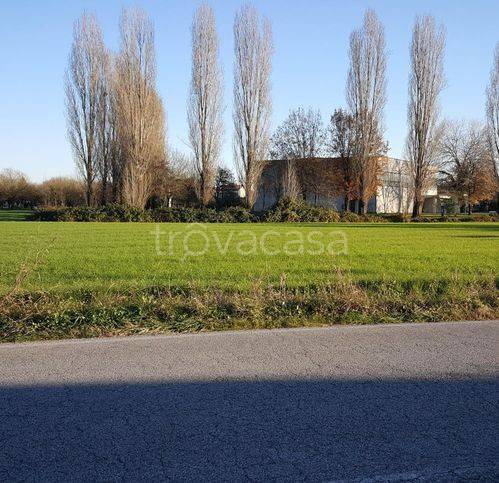 casa indipendente in vendita a Lendinara