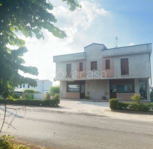 appartamento in vendita a Lendinara in zona Rasa