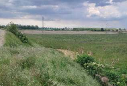 terreno agricolo in vendita a Lendinara