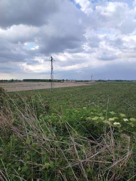 terreno agricolo in vendita a Lendinara