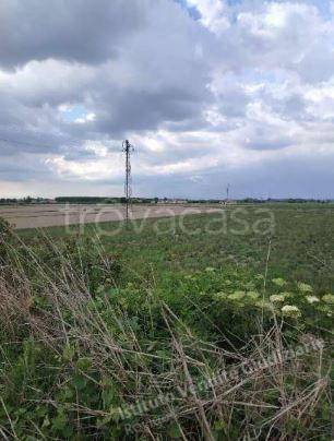 terreno edificabile in vendita a Lendinara