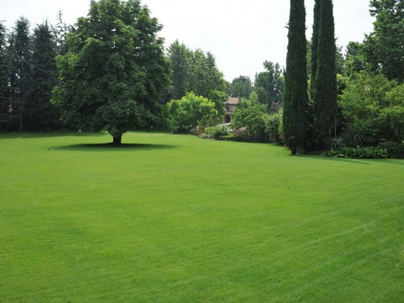 terreno agricolo in vendita a Lendinara