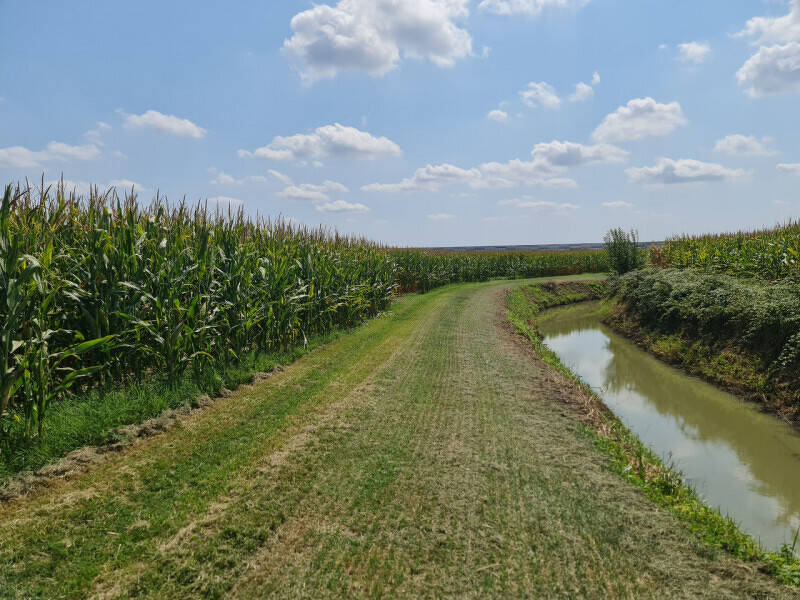 terreno agricolo in vendita a Lendinara