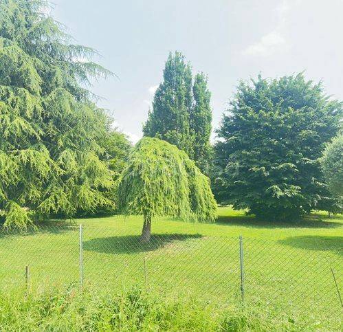 casa indipendente in vendita a Lendinara