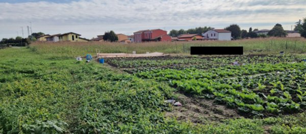 terreno edificabile in vendita a Lendinara