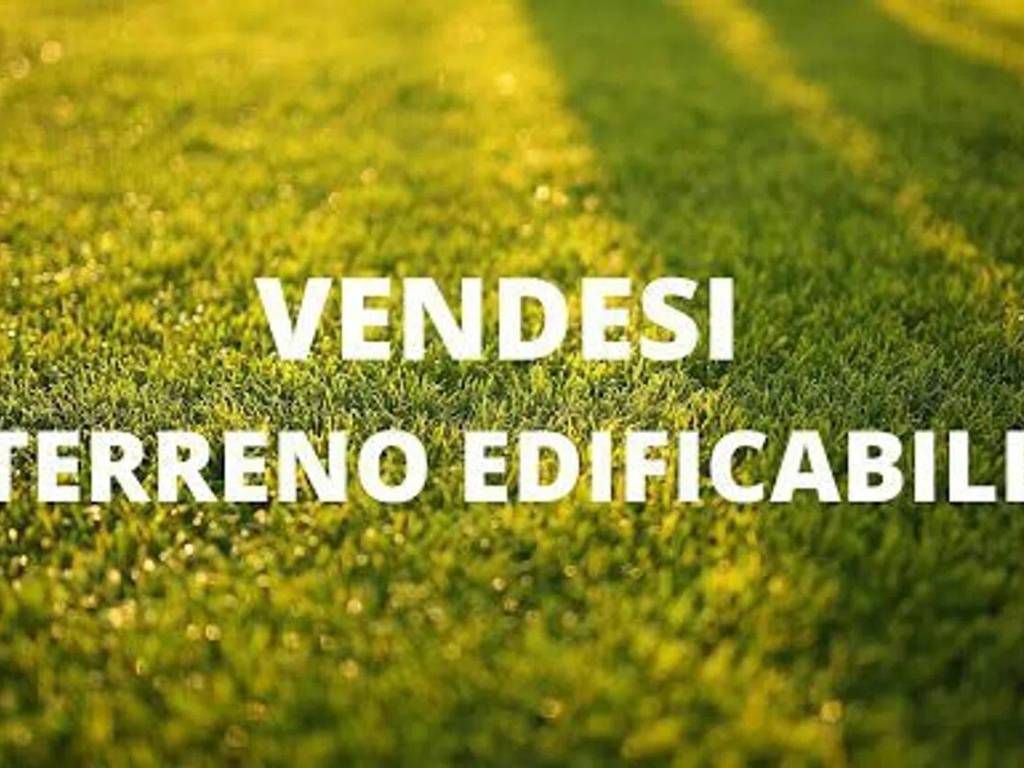 terreno edificabile in vendita a Lendinara in zona Rasa